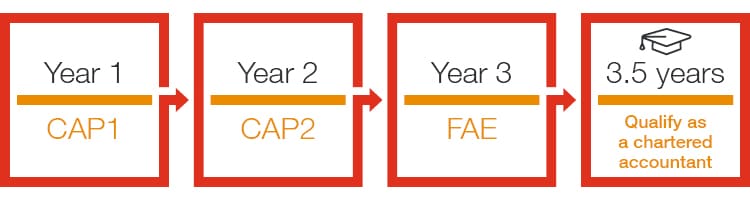 Career in Specialised Assurance Services — Graduate programme | PwC Ireland