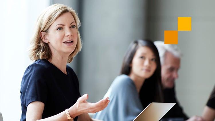 A photo of a professional woman speaking to a group of people.