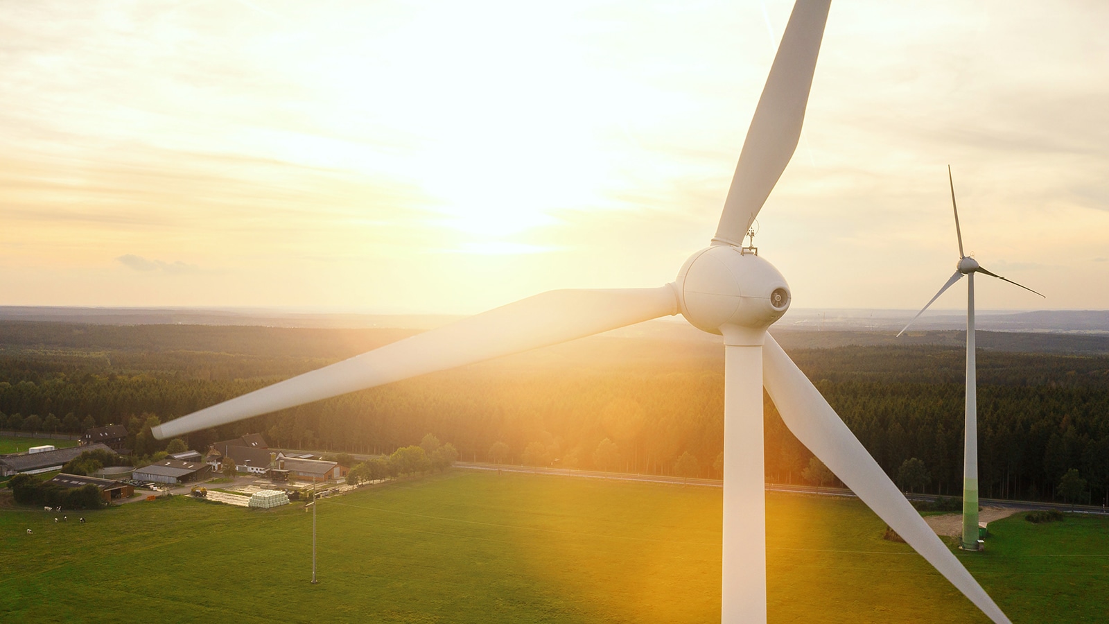 Windmills in a field